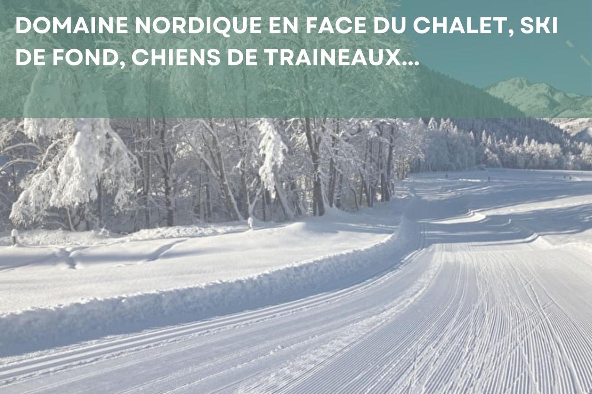 Chalet Les 4 Saisons - Ski, Parking Et Jardin Abondance Exterior foto