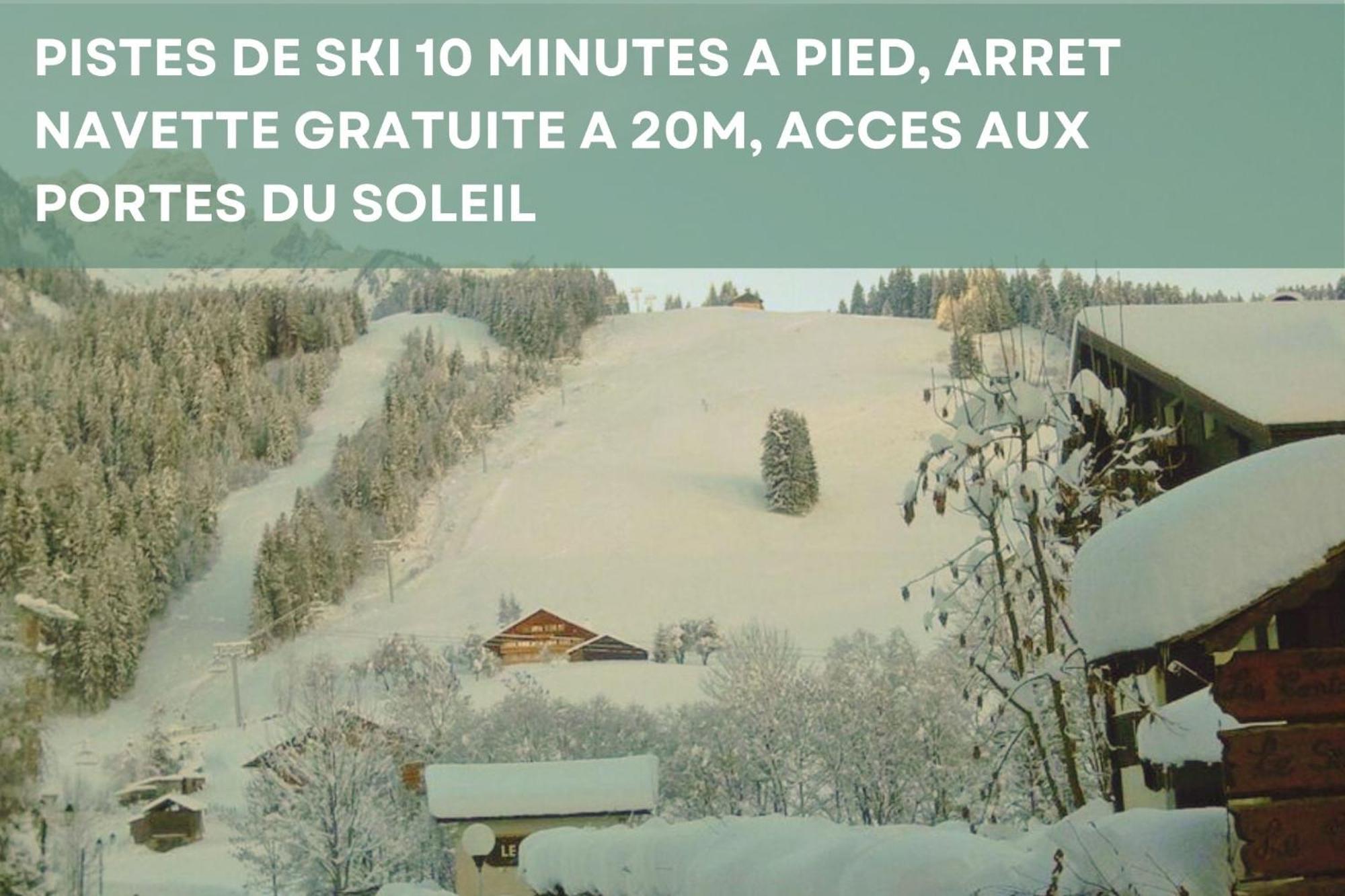 Chalet Les 4 Saisons - Ski, Parking Et Jardin Abondance Exterior foto